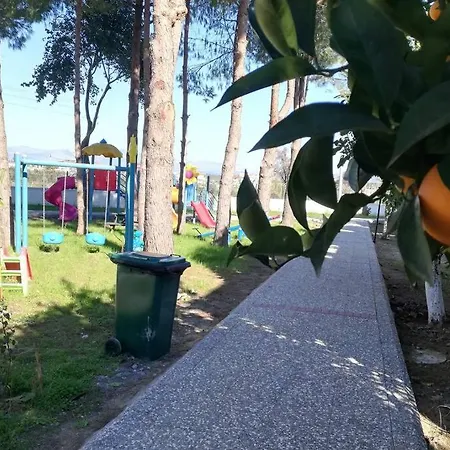 Beyazıt